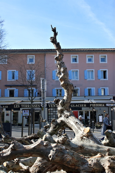 1905 IMG 9886a 1067x1600
