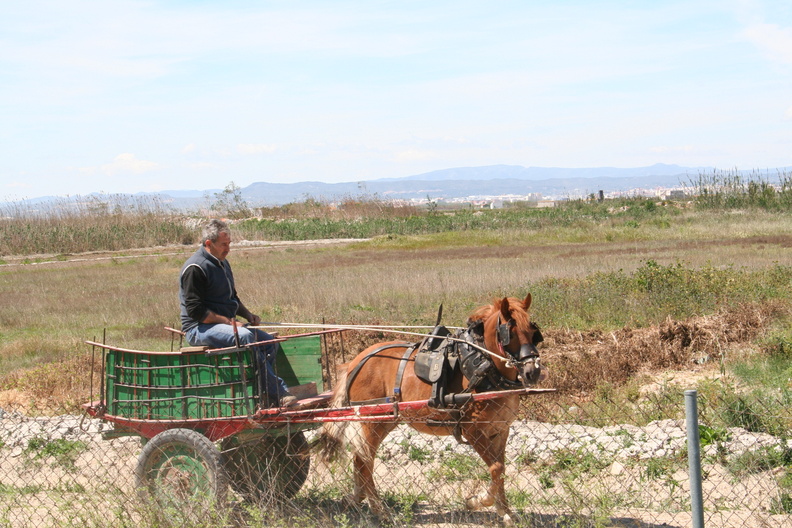 550 IMG 9801 Espagne 2496x1664