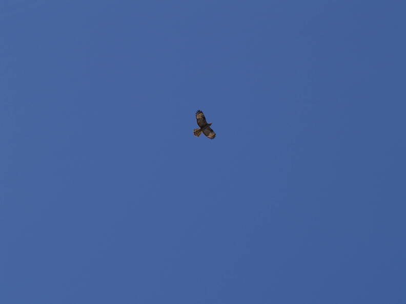 05 8180018-w