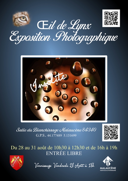 affiche-insolite-V4.jpg